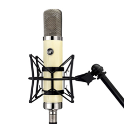 Browse Condenser Microphones for rent.