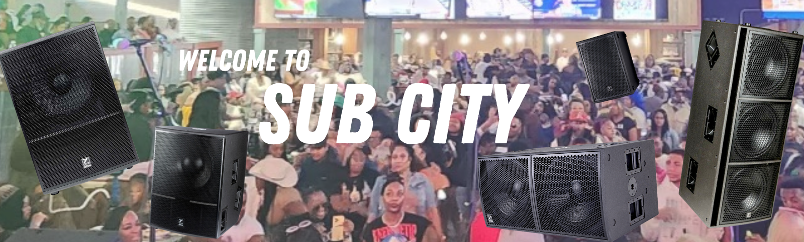 Sub City. Subwoofers in Austin