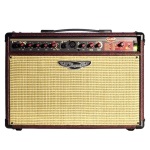 Traynor AM100T 100W Acoustic Guitar Combo Amp