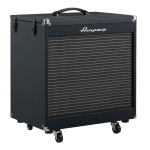 Ampeg PF210HE 450 W 2x10 Fliptop Bass Cabinet