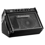 Traynor DW10 10"/200w Combo Drum Amp