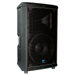 Yorkville NX25P 300watt Powered Speaker with 12" woofer <br /> <span style="color:red;font-weight:bolder;">Staff Pick!</span>
