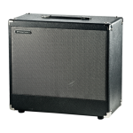 Traynor DHX12 Darkhorse 25 Watt Extension Cab