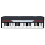 Korg SP250 88 weighted key dig piano